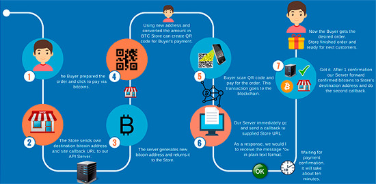 Apirone BitCoin WordPress WooCommerce Proses