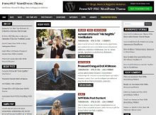 Theme WordPress Blogging PowerWP Free
