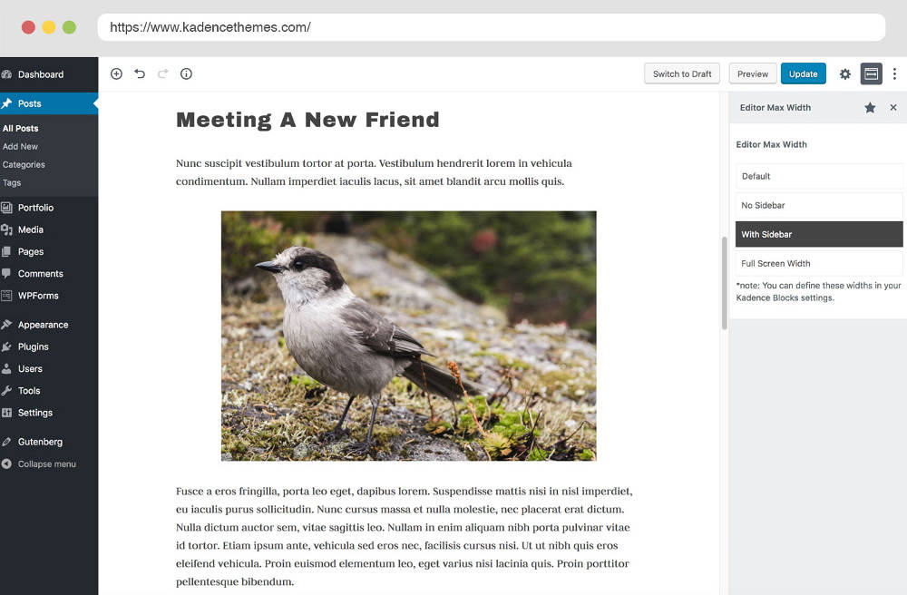 Kadence Blocks for Gutenberg 6