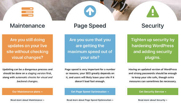 Profesional WordPress Maintenance services