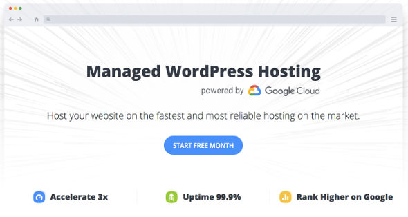 10web All in one WordPress hosting