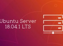 distro linux server terbaik ubuntu