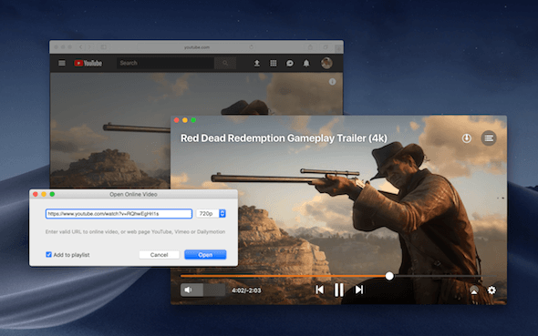 Elmedia Player Online Video View