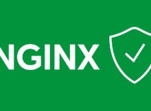 Nginx server ubuntu linux