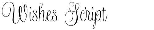 font undangan pernikahan wishes script