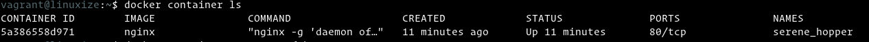 install docker ubuntu list containers