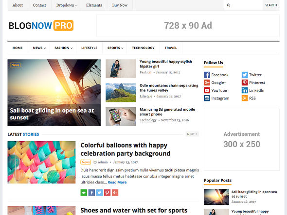 blognow pro WordPress theme