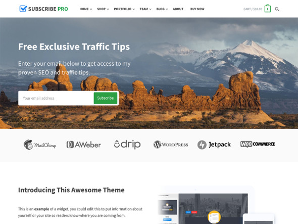 subscribe pro WordPress Theme