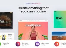Litho theme elementor