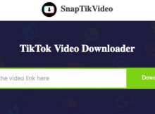 pengunduh video tiktok 1