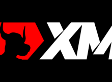 XM forex broker trading sukses