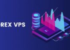 forex vps hosting