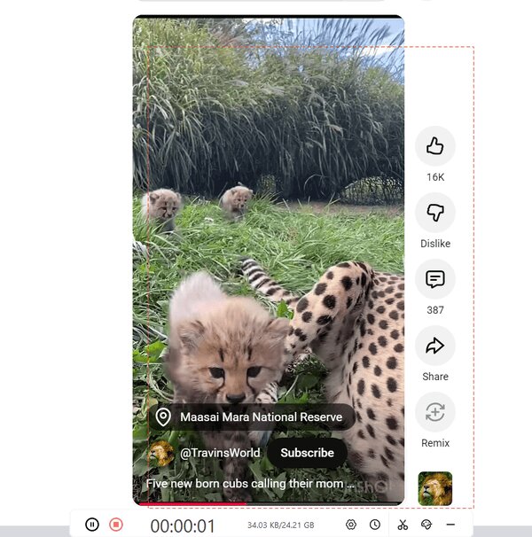 Leawo Screen Recorder 3