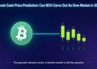 Bitcoin Cash Price Prediction