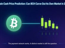 Bitcoin Cash Price Prediction